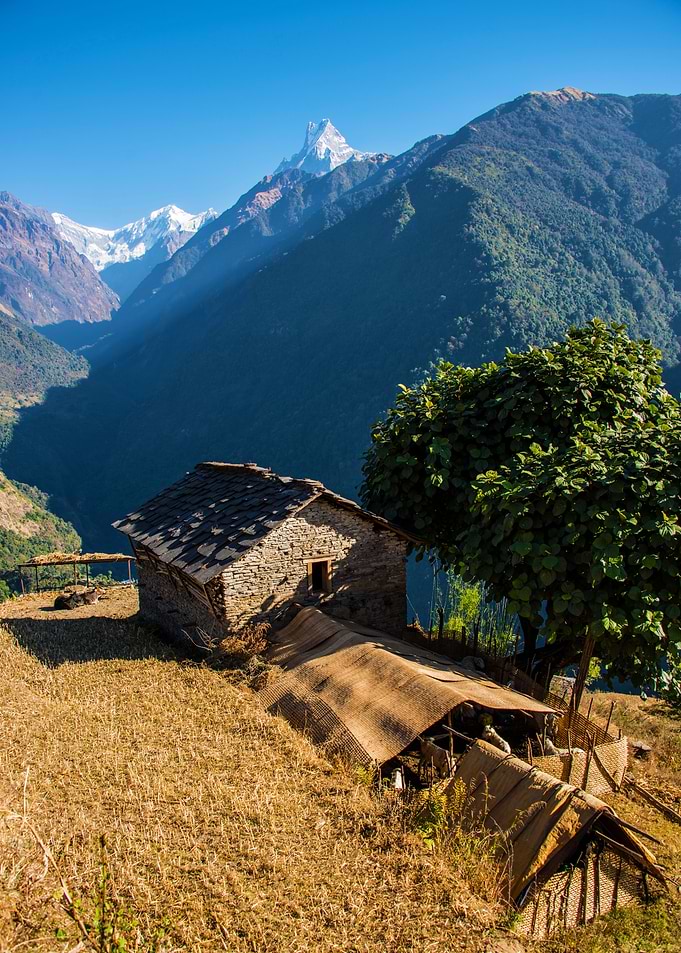 Himalayan Landscape