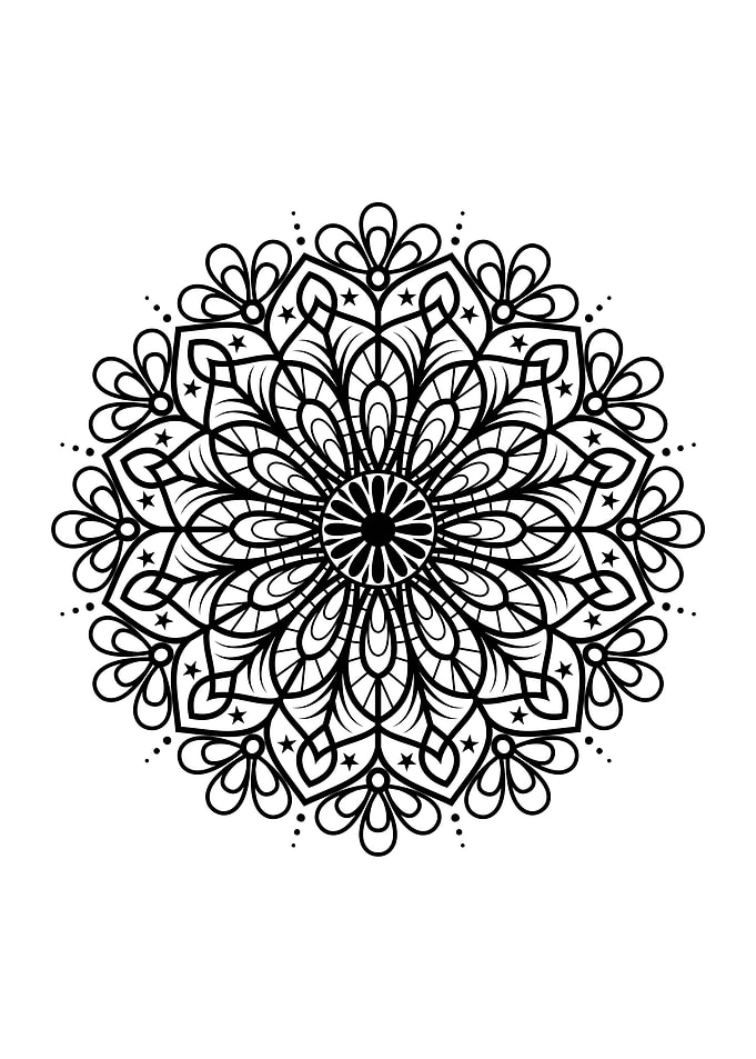 nature floral ornament