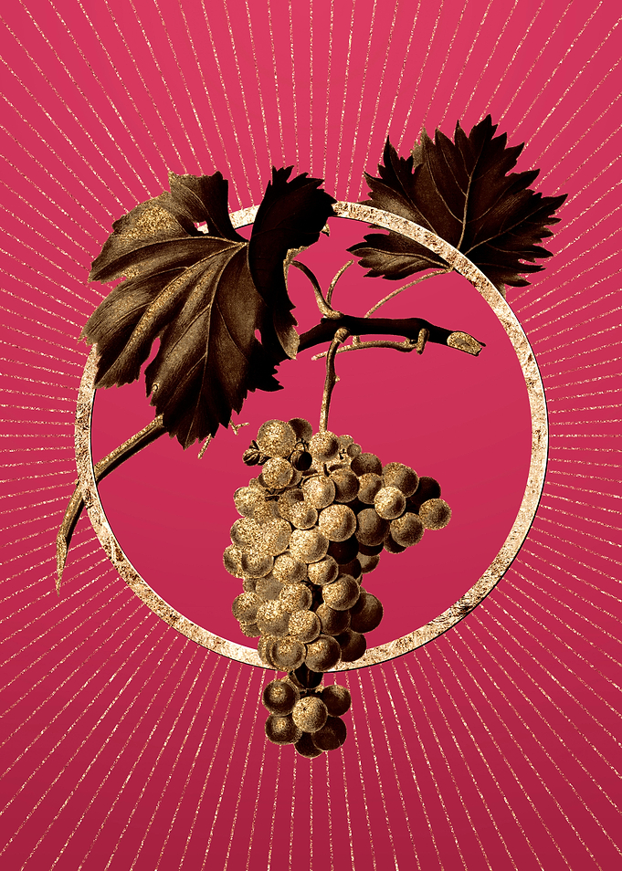 Grape Vine on Viva Magenta