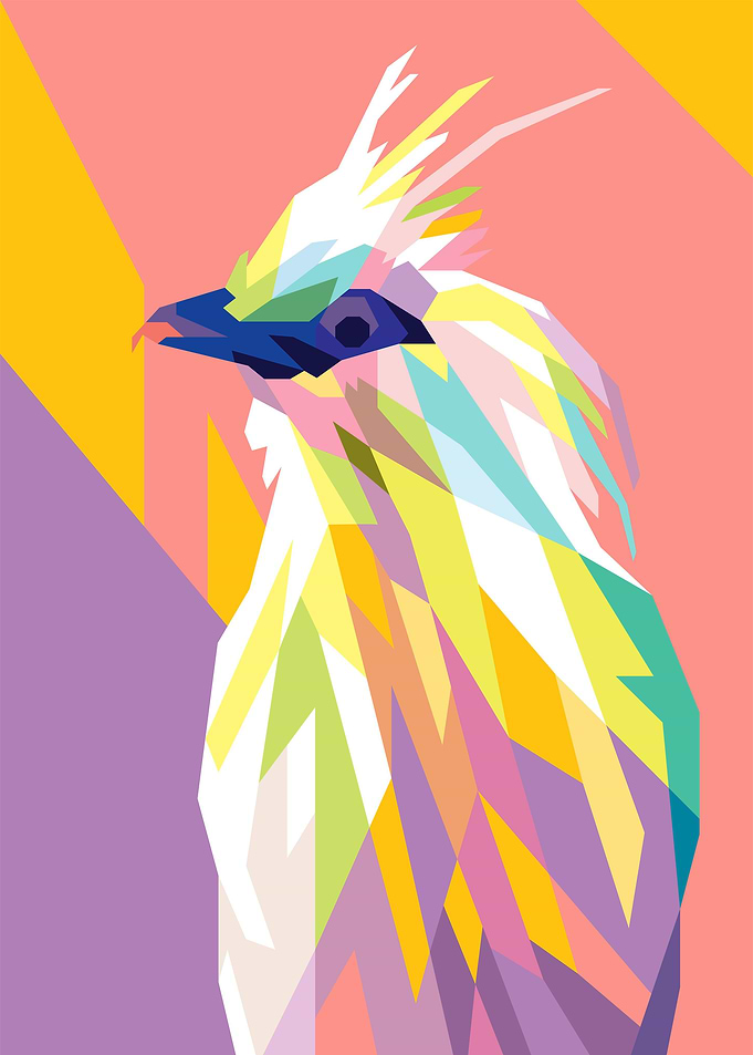 Beautifull Bird