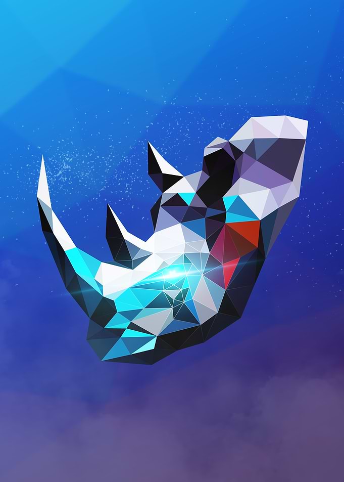 Rhino portrait