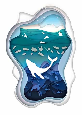 Paper Cut Illustration