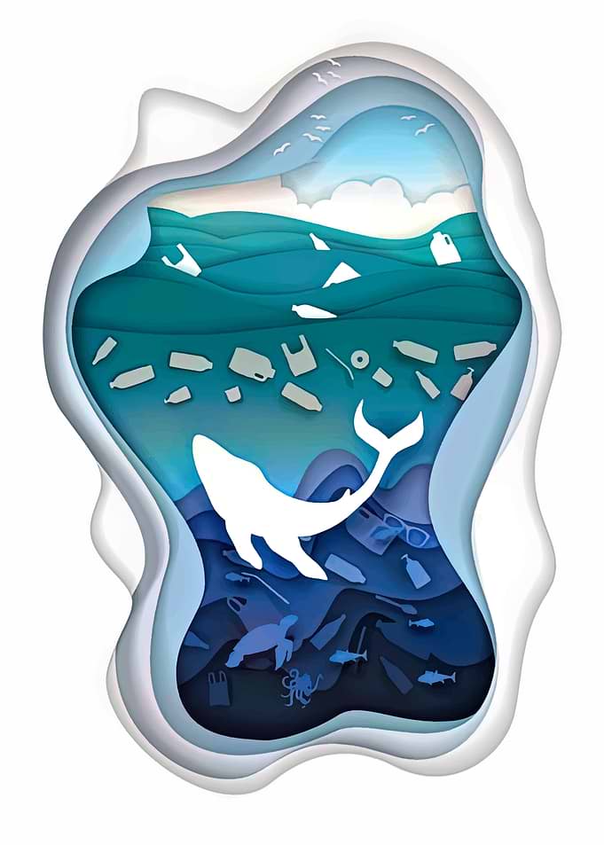 Paper Cut Illustration