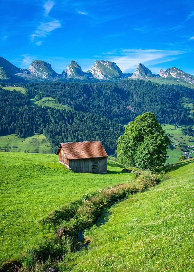 Swiss morning