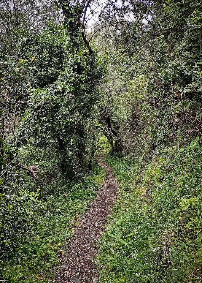 Hiking in Cinque Terre