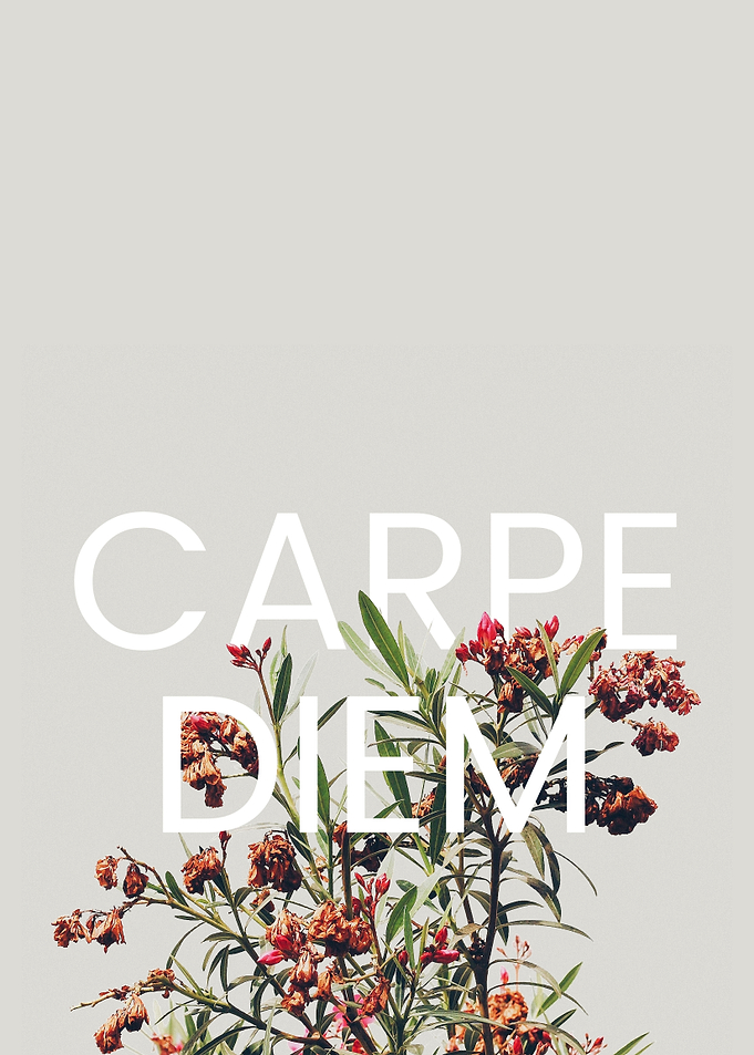 Carpe Diem