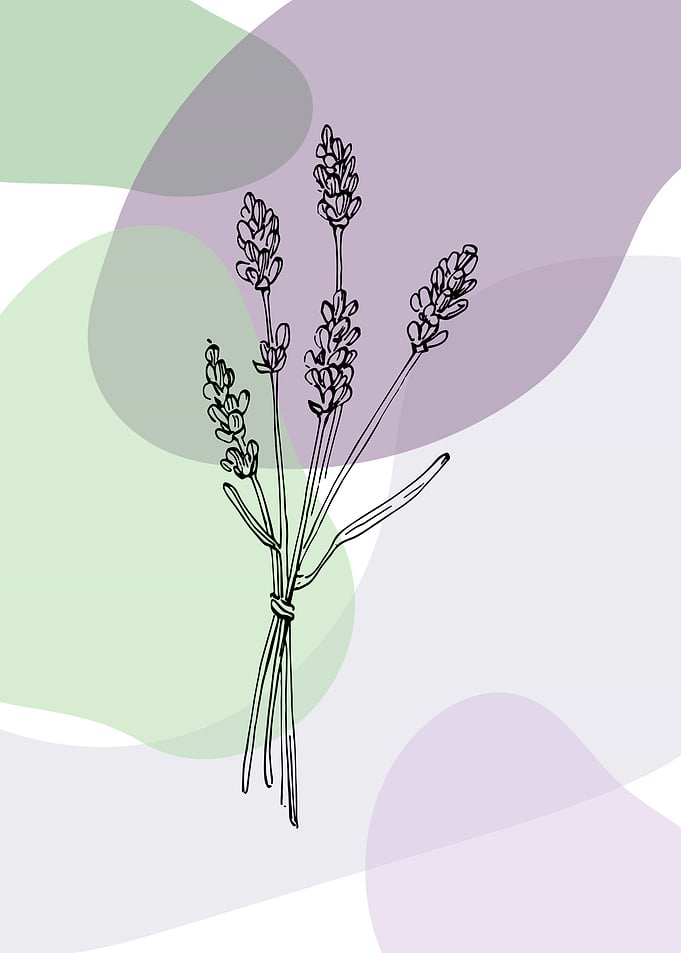 Lavender Minimalist