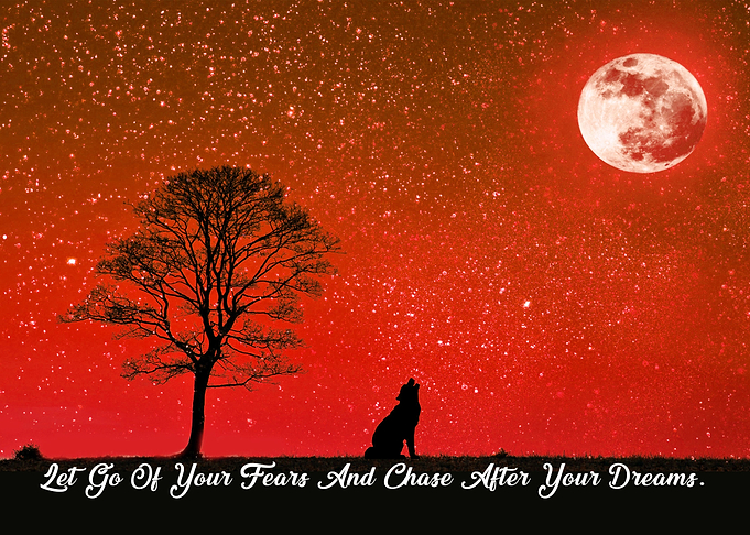 Let go of your fears