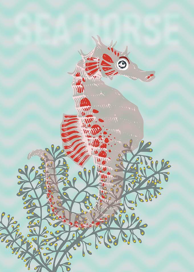 Sea life sea horse