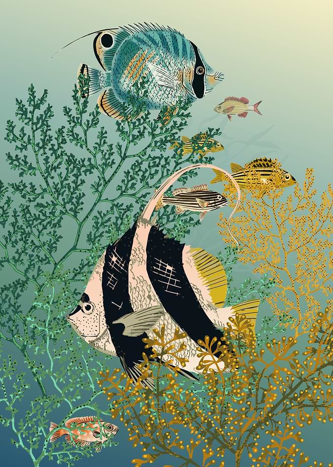 coral reef deep silence