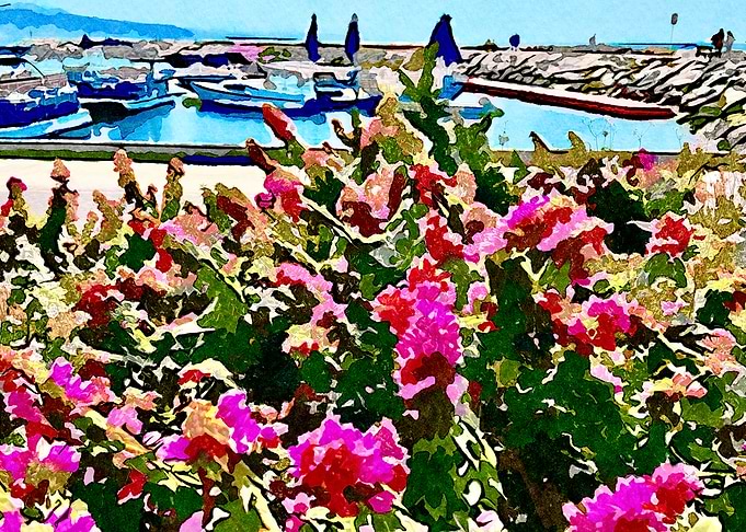 Flowers + Boats Watercolor