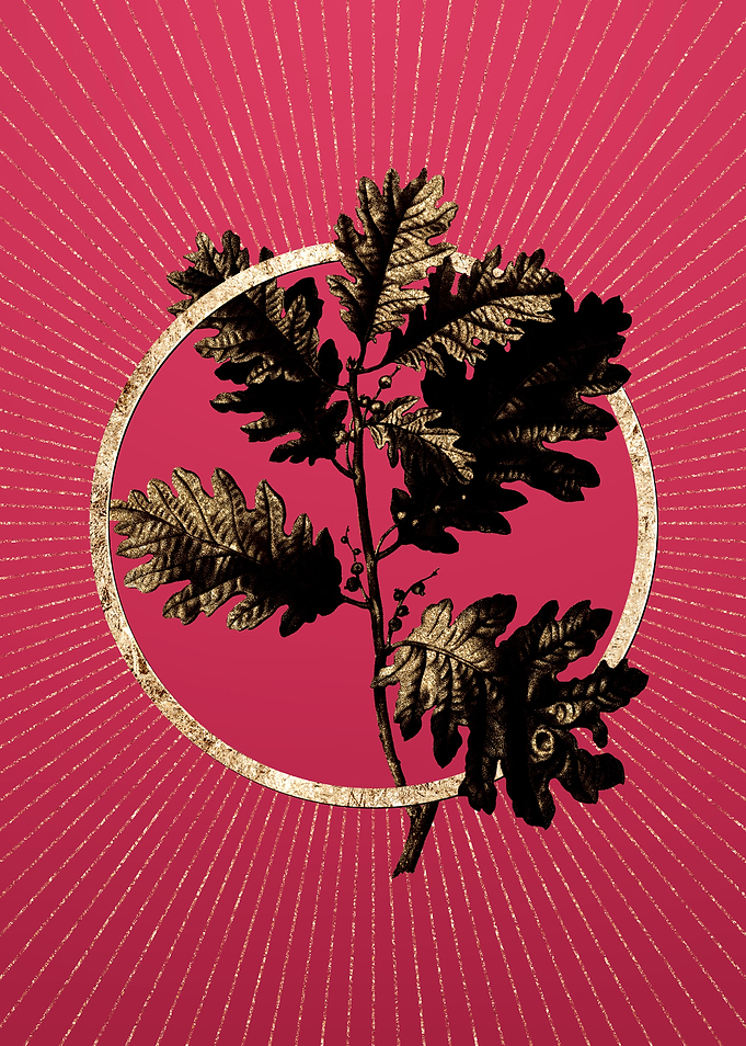 Viva Magenta Hungarian Oak