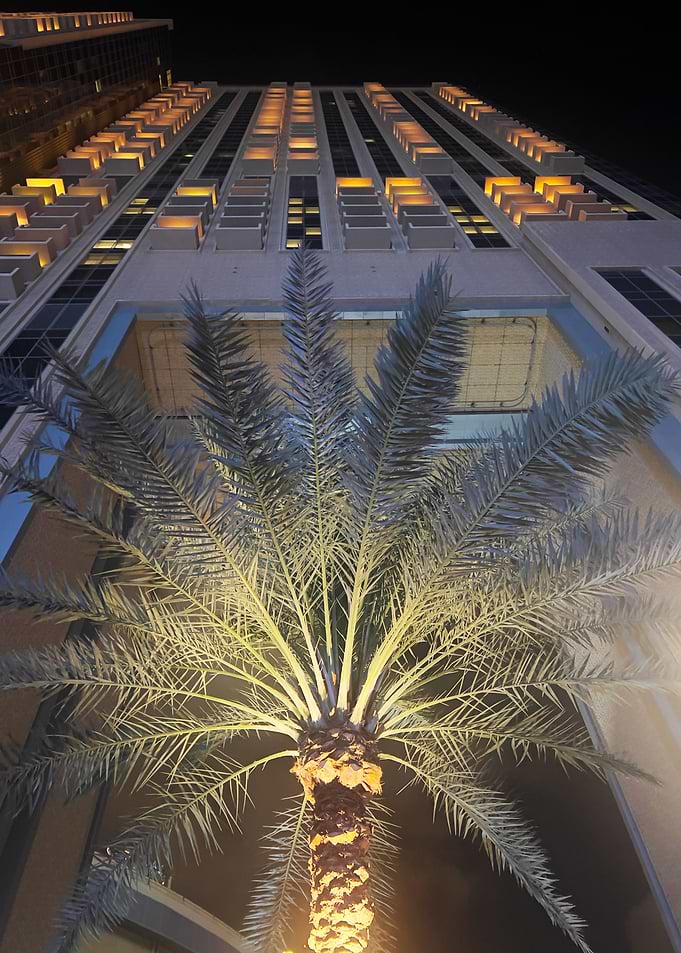 Palm Tree Hotel