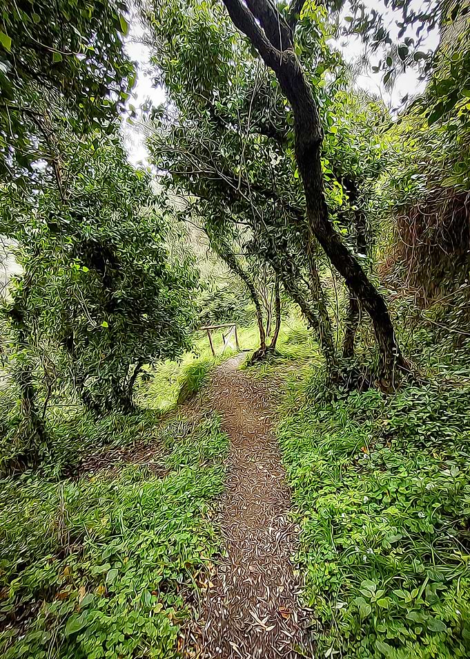 Hiking in Cinque Terre