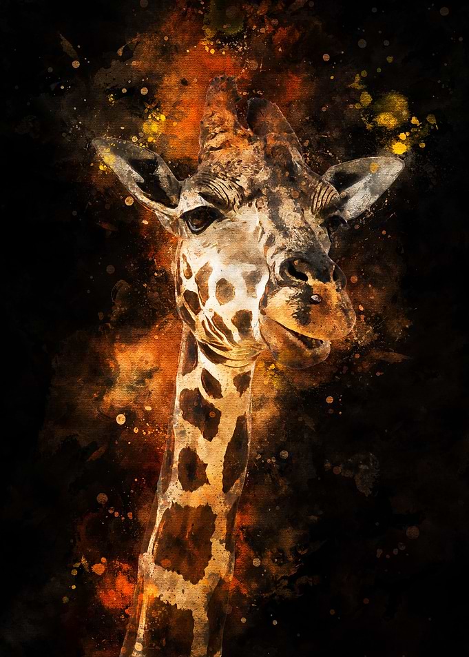 giraffe