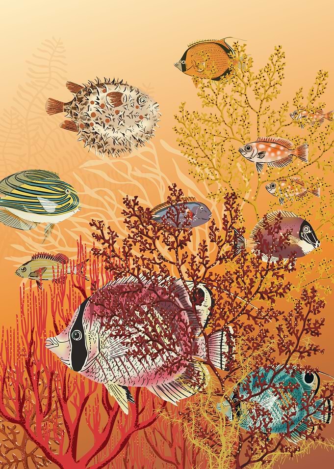 coral reef deep silence 2