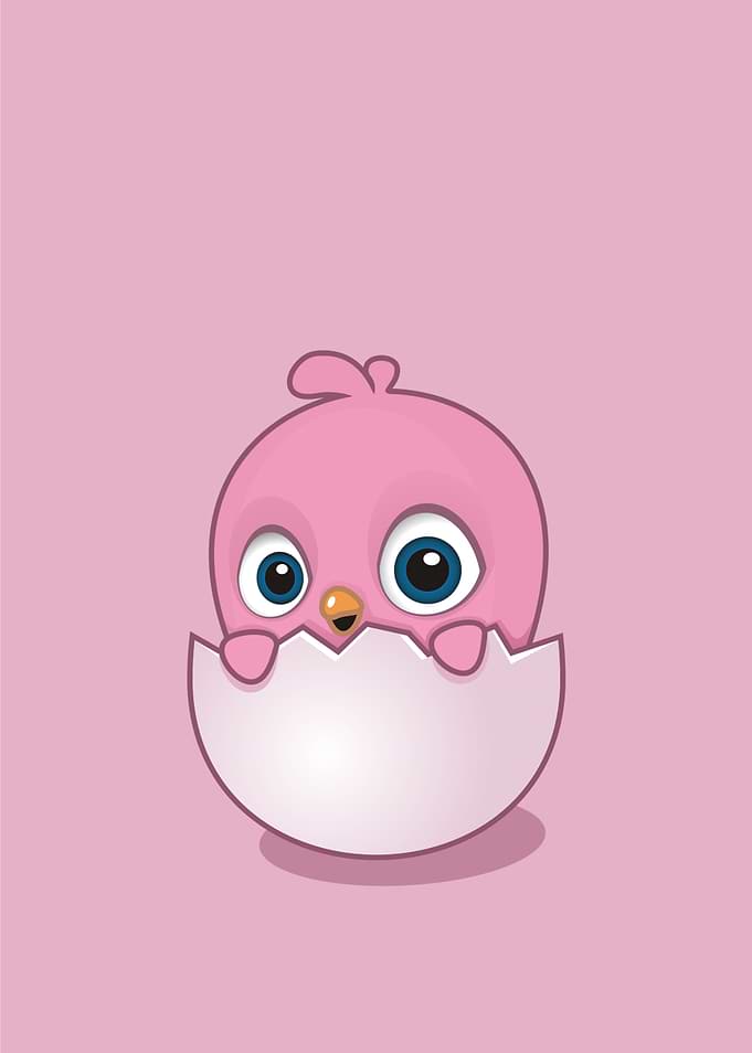 egg pink