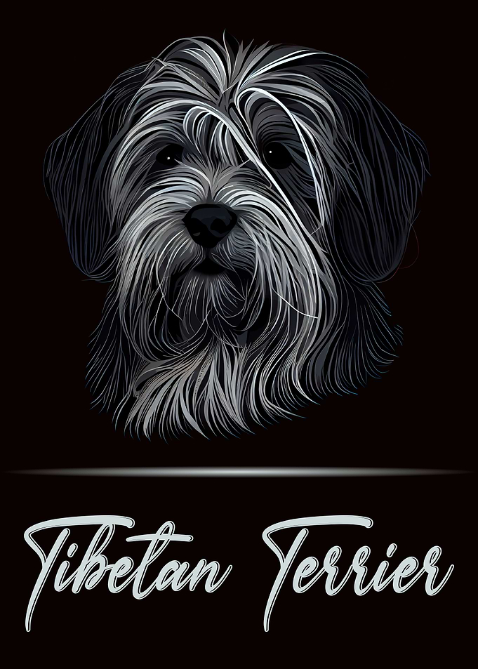 Tibetan Terrier Portrait