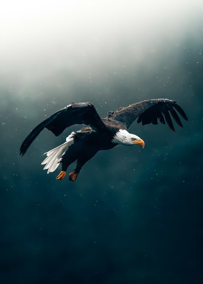 eagle