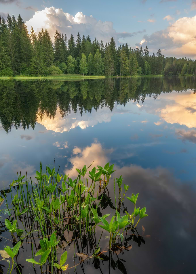 mirror smooth lake