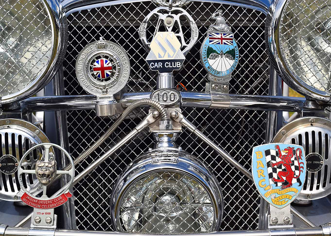 SS 100 Jaguar Grill