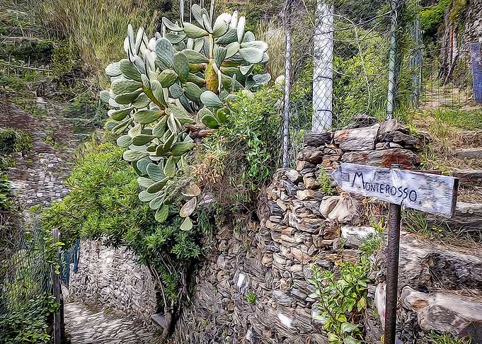 Pathway near Monterosso
