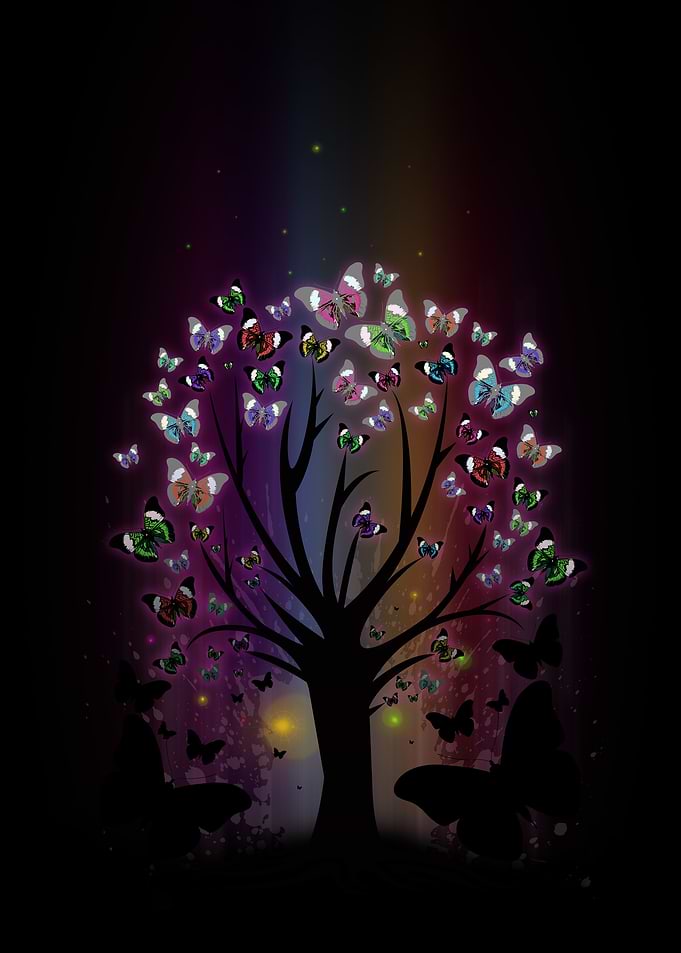 Butterfly Tree