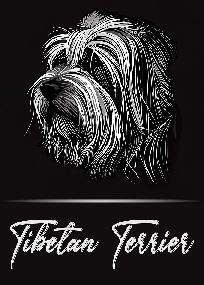 Adorable Tibetan Terrier