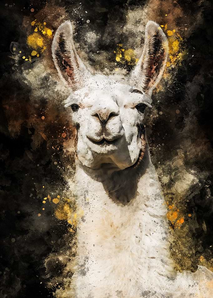 llama