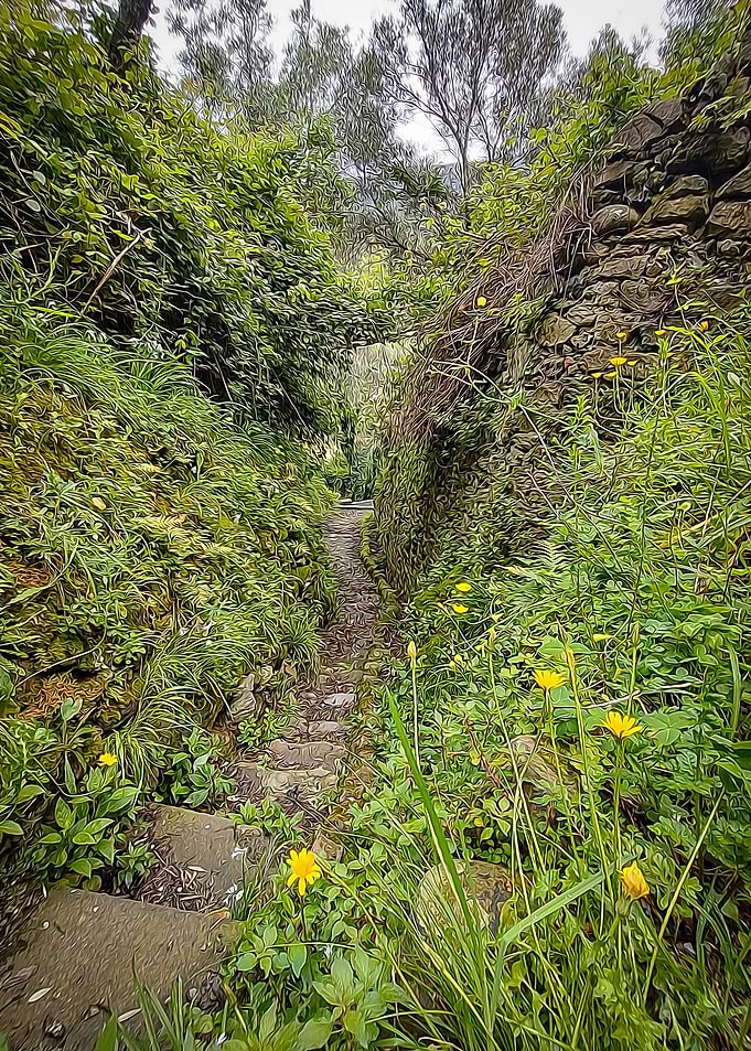 Hiking in Cinque Terre