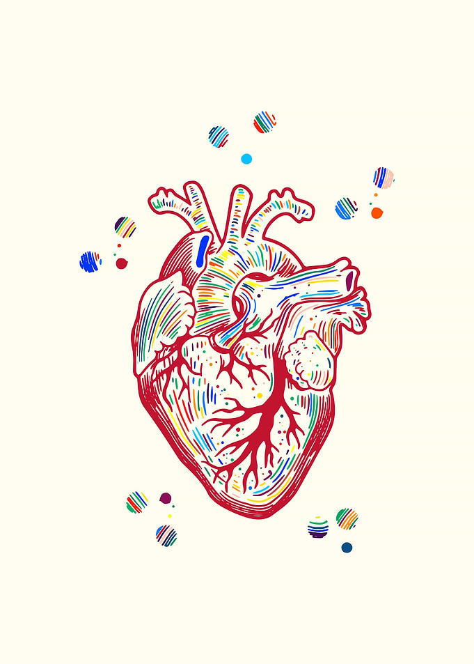 The Heart