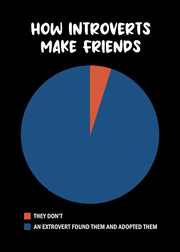 How Introverts make friend