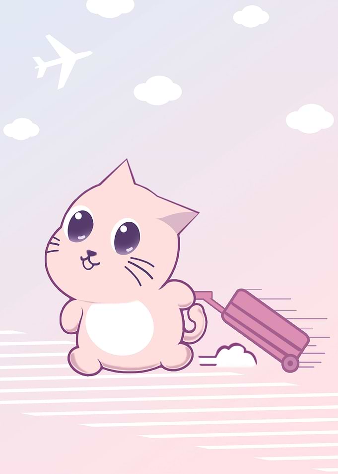 Travel Cat