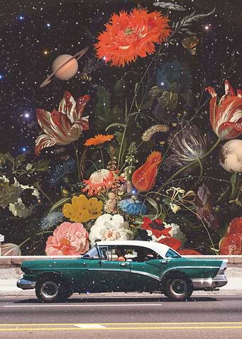 Blossom