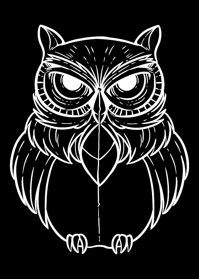 The Owl Biologist Gift