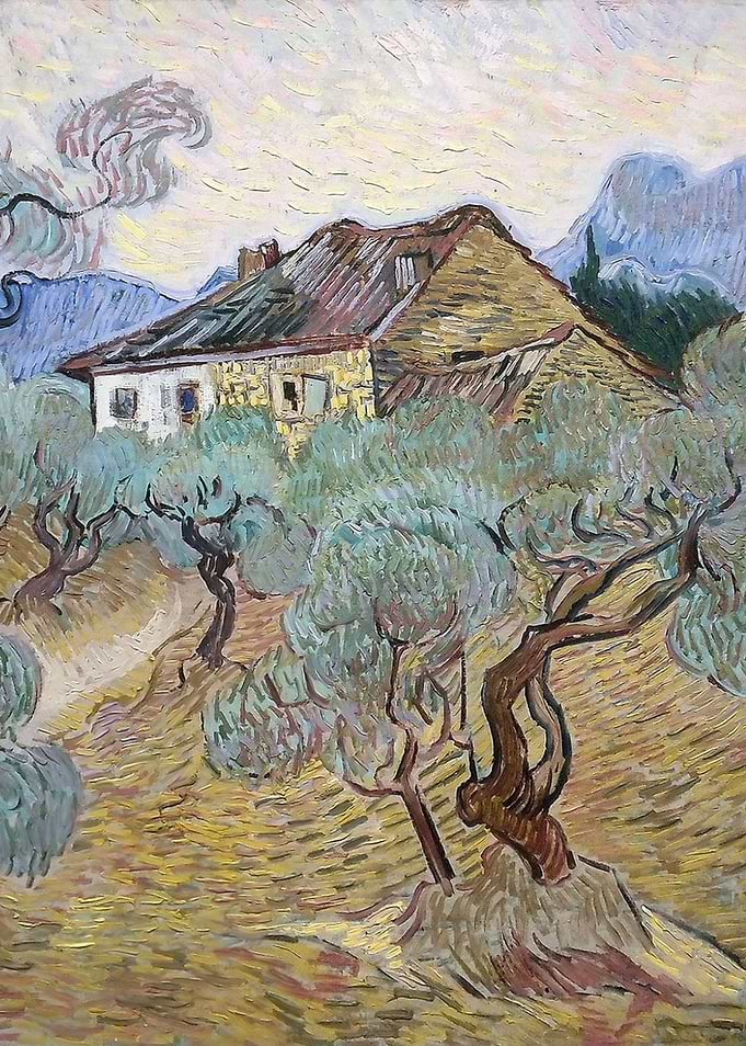 The white cottage