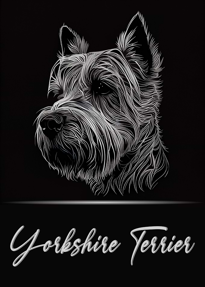 Yorkshire Terrier Portrait