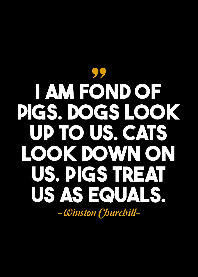 winston Churchill