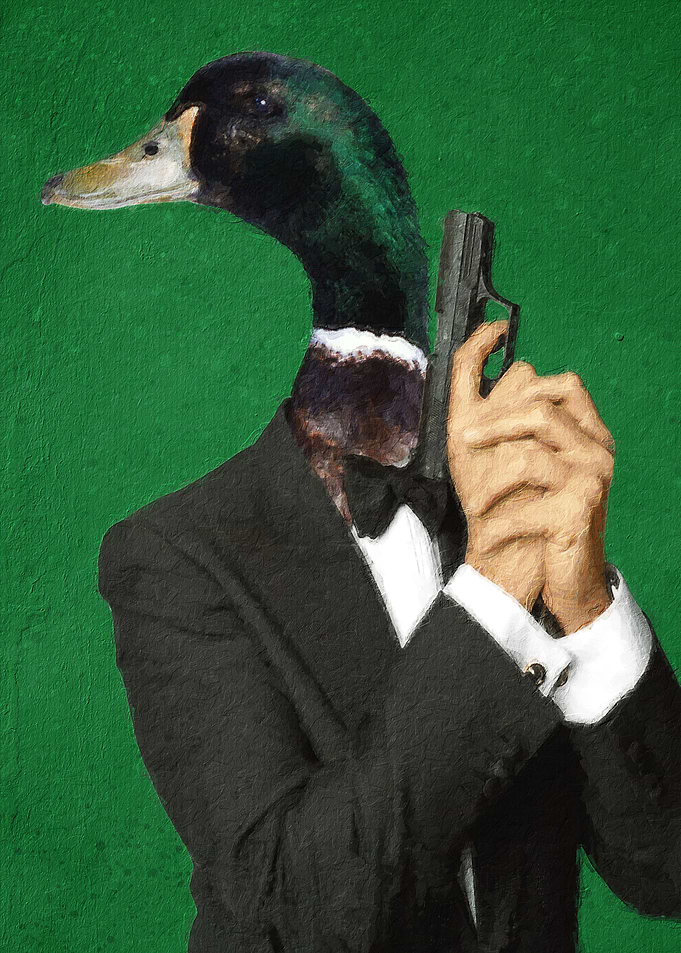 Duck meme