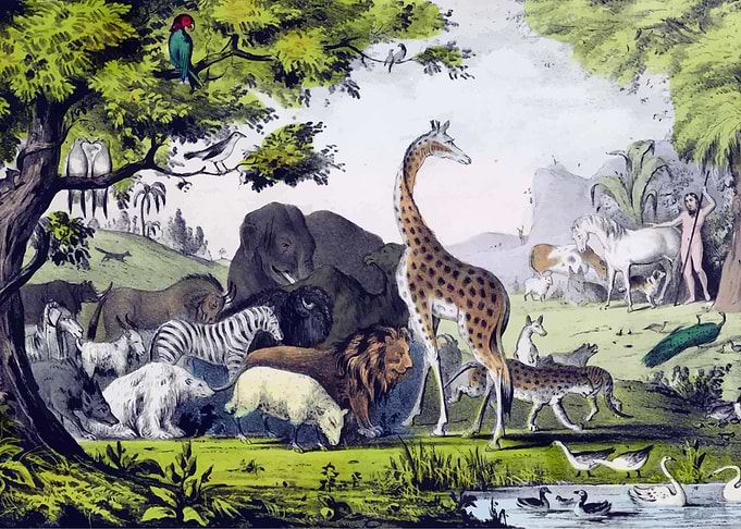 Adam Naming Animals