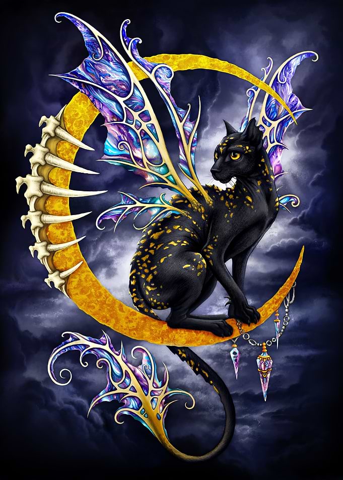Black Fairy Cat on Moon