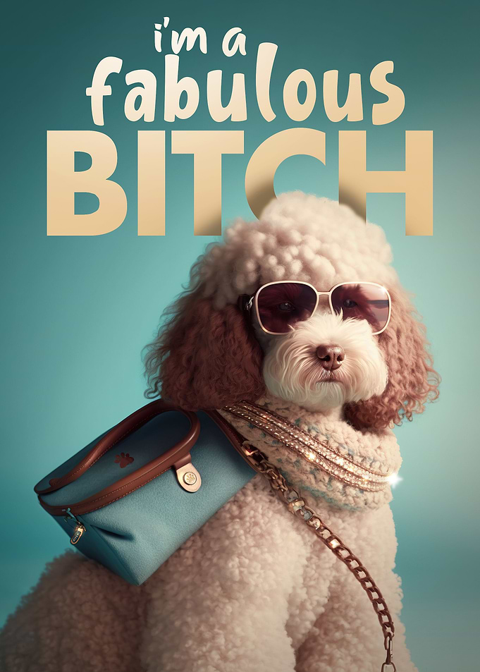 Im a fabulous Bitch