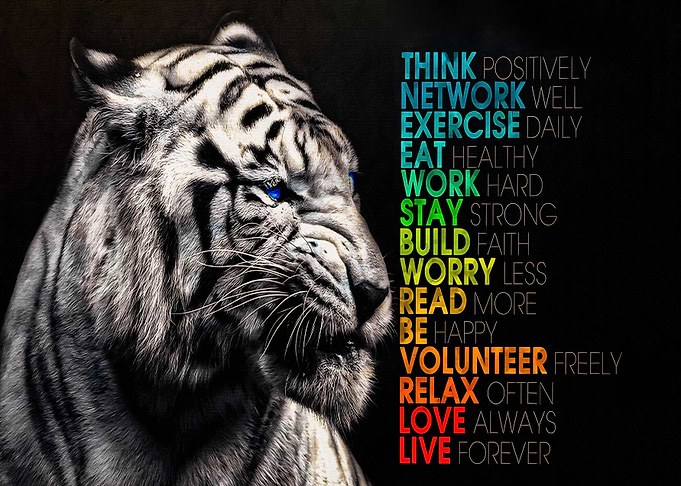 Positive Mindset