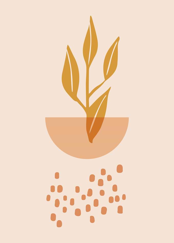 Botanical