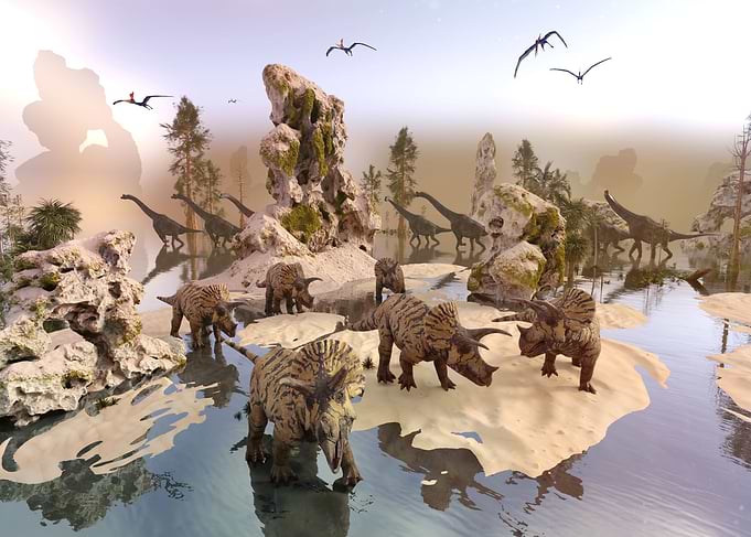 Triceratops dinosaur herd