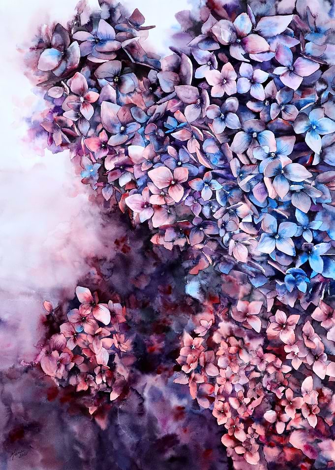 Watercolor hydrangea