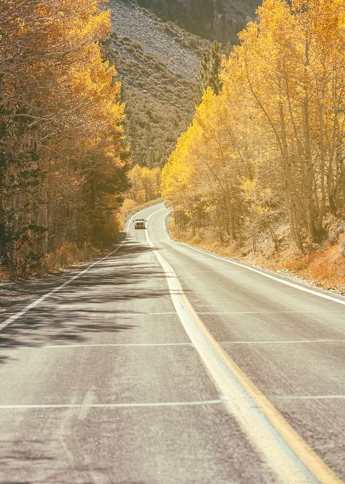June Lake Loop Road