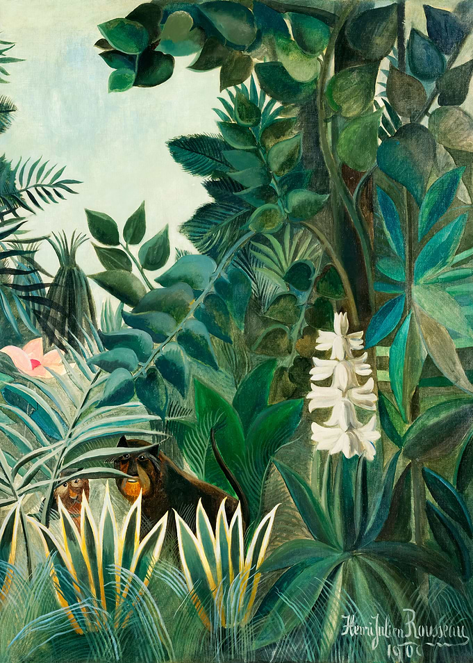 The Equatorial Jungle