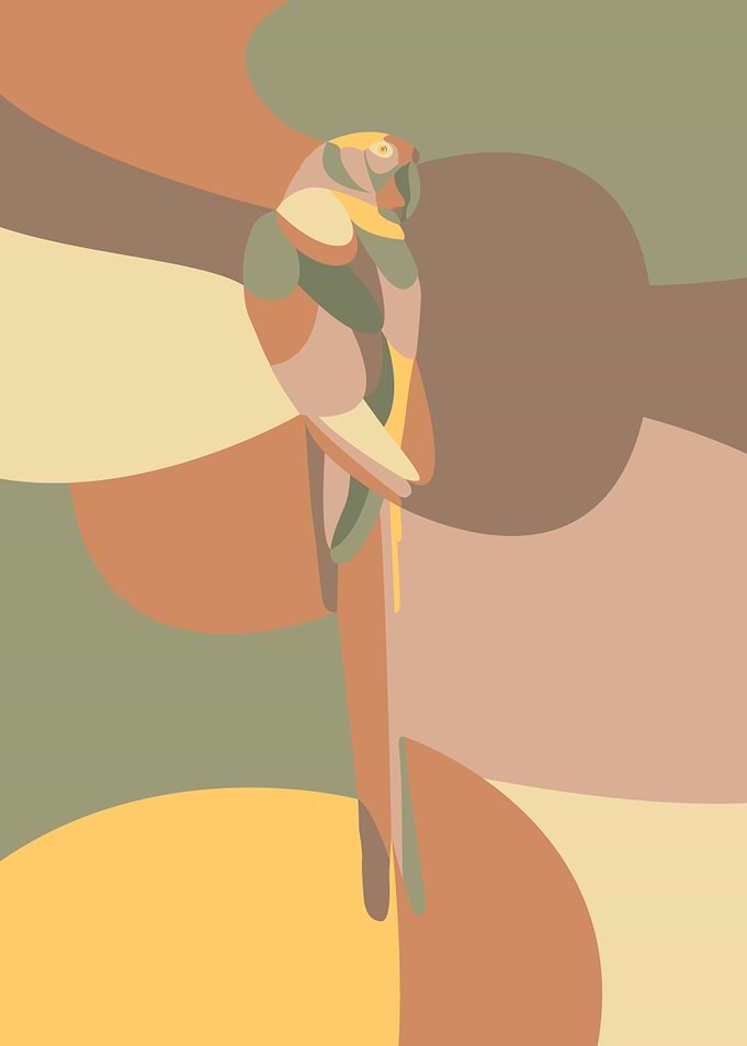 bird