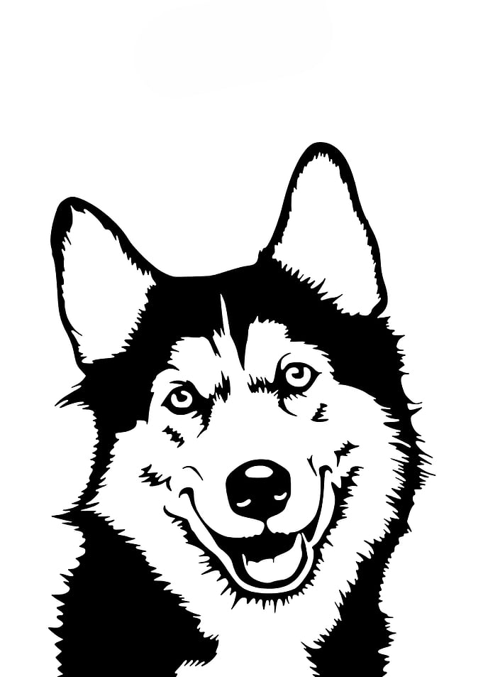 dogs